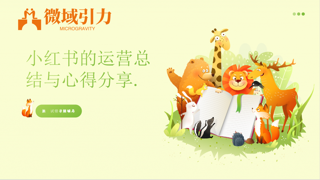 小红书的运营总结与心得分享